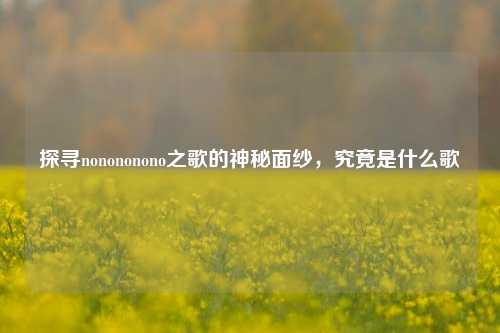 探寻nonononono之歌的神秘面纱，究竟是什么歌