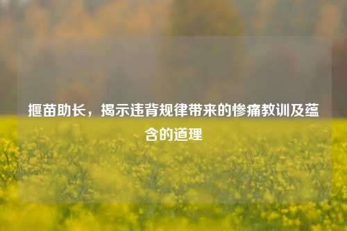 揠苗助长，揭示违背规律带来的惨痛教训及蕴含的道理