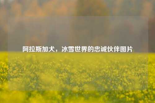 阿拉斯加犬，冰雪世界的忠诚伙伴图片
