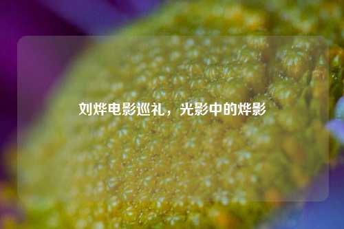 刘烨电影巡礼，光影中的烨影