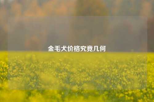 金毛犬价格究竟几何