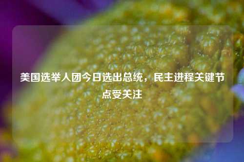 美国选举人团今日选出总统，民主进程关键节点受关注