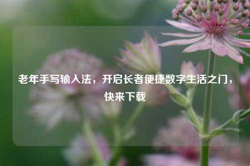 老年手写输入法，开启长者便捷数字生活之门，快来下载