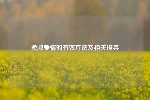 挽救爱情的有效方法及相关探寻