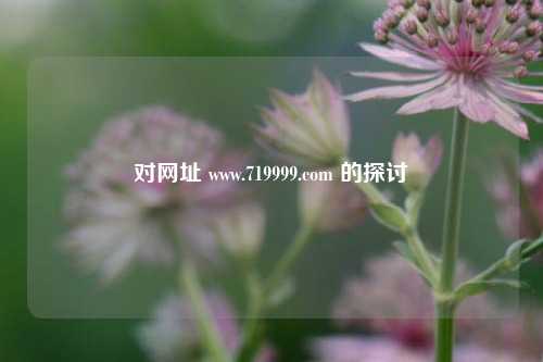 对网址 www.719999.com 的探讨