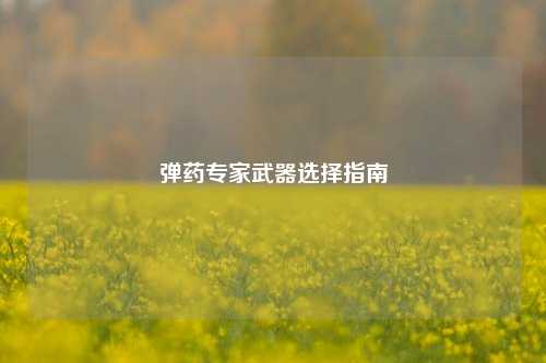 弹药专家武器选择指南