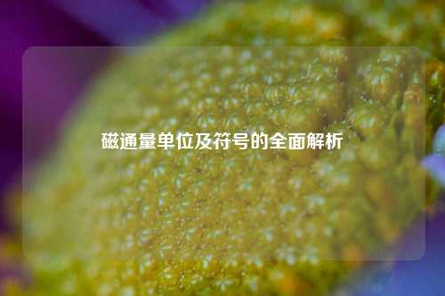 磁通量单位及符号的全面解析