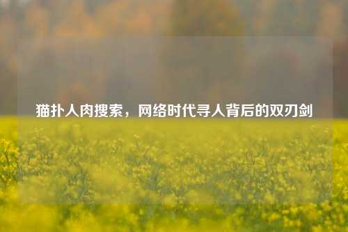 猫扑人肉搜索，网络时代寻人背后的双刃剑