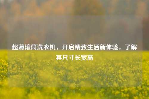 超薄滚筒洗衣机，开启精致生活新体验，了解其尺寸长宽高