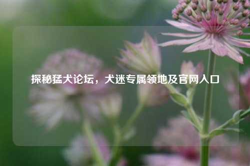探秘猛犬论坛，犬迷专属领地及官网入口
