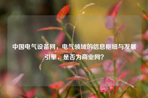 中国电气设备网,电气领域的信息枢纽与发展引擎,是否为商业网?