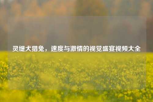 灵缇犬猎兔，速度与激情的视觉盛宴视频大全