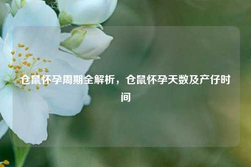 仓鼠怀孕周期全解析，仓鼠怀孕天数及产仔时间