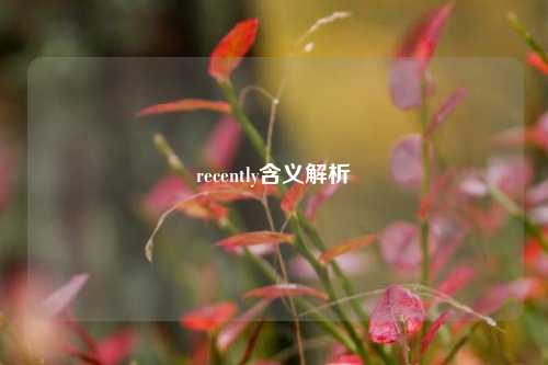 recently含义解析