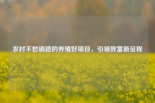 农村不愁销路的养殖好项目,引领致富新征程