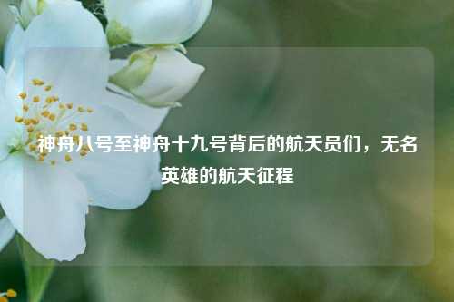 神舟八号至神舟十九号背后的航天员们，无名英雄的航天征程