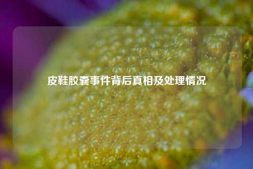 皮鞋胶囊事件背后真相及处理情况