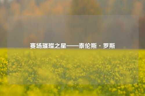 赛场璀璨之星——泰伦斯·罗斯