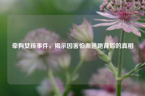 牵狗女孩事件，揭示因害怕而逃跑背后的真相