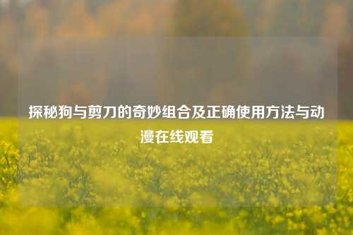 探秘狗与剪刀的奇妙组合及正确使用方法与动漫在线观看