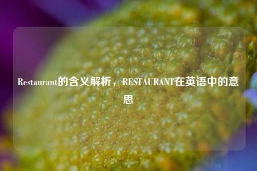 Restaurant的含义解析，RESTAURANT在英语中的意思
