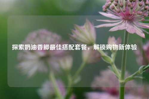探索奶油香鲫最佳搭配套餐，解锁购物新体验