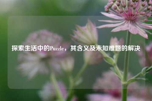 探索生活中的Puzzle,其含义及未知难题的解决