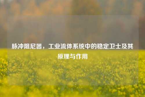 脉冲阻尼器,工业流体系统中的稳定卫士及其原理与作用