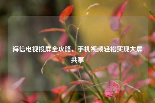 海信电视投屏全攻略,手机视频轻松实现大屏共享