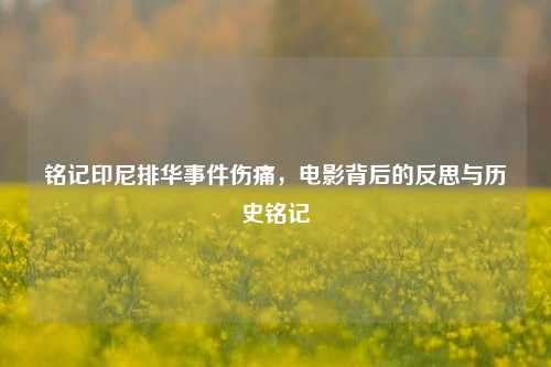 铭记印尼排华事件伤痛,电影背后的反思与历史铭记