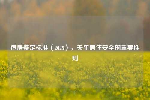 危房鉴定标准（2025），关乎居住安全的重要准则