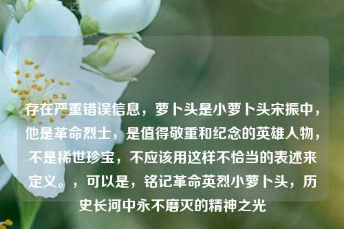 存在严重错误信息,萝卜头是小萝卜头宋振中,他是革命烈士,是值得敬重和纪念的英雄人物,不是稀世珍宝,不应该用这样不恰当的表述来定义。,可以是,铭记革命英烈小萝卜头,历史长河中永不磨灭的精神之光