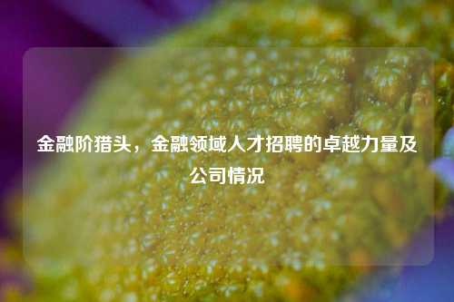 金融阶猎头,金融领域人才招聘的卓越力量及公司情况