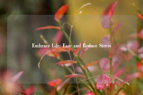 Embrace Life: Ease and Reduce Stress