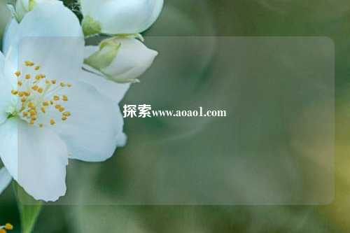 探索www.aoao1.com