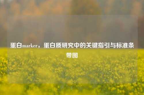 蛋白marker，蛋白质研究中的关键指引与标准条带图