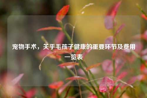 宠物手术,关乎毛孩子健康的重要环节及费用一览表