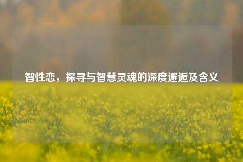智性恋,探寻与智慧灵魂的深度邂逅及含义