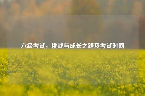 六级考试,挑战与成长之路及考试时间