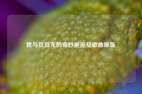 我与豆豆龙的奇妙邂逅及歌曲原版