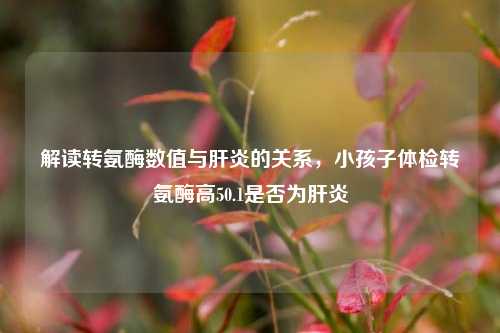 解读转氨酶数值与肝炎的关系，小孩子体检转氨酶高50.1是否为肝炎