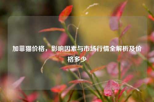 加菲猫价格，影响因素与市场行情全解析及价格多少
