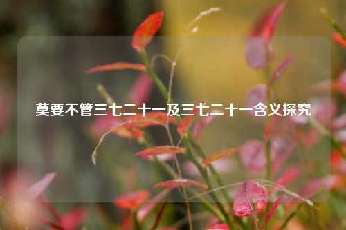 莫要不管三七二十一及三七二十一含义探究