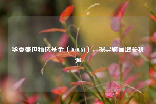 华夏盛世精选基金(000061),探寻财富增长机遇