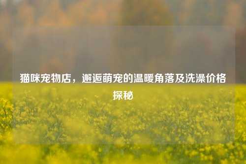 猫咪宠物店,邂逅萌宠的温暖角落及洗澡价格探秘