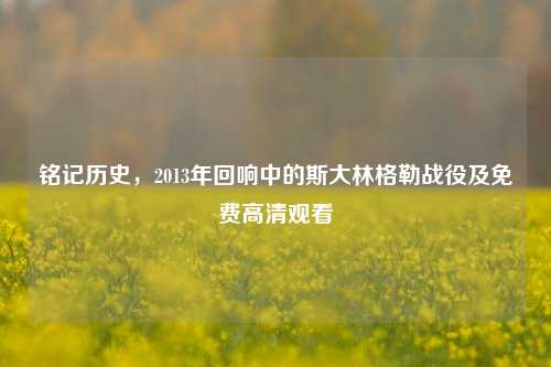 铭记历史，2013年回响中的斯大林格勒战役及免费高清观看