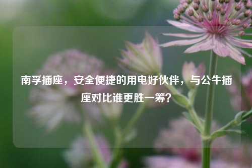 南孚插座,安全便捷的用电好伙伴,与公牛插座对比谁更胜一筹?