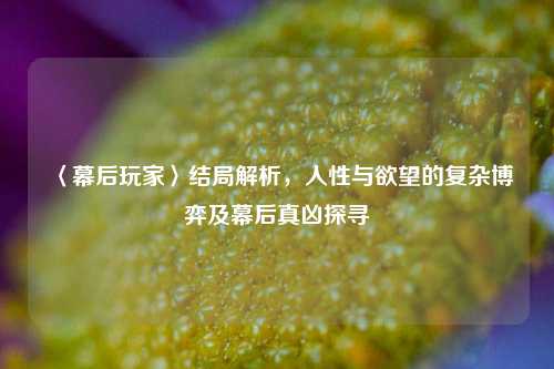 〈幕后玩家〉结局解析,人性与欲望的复杂博弈及幕后真凶探寻
