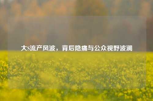 大S流产风波,背后隐痛与公众视野波澜