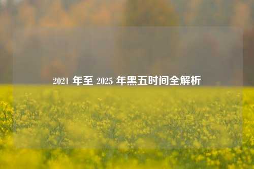 2021 年至 2025 年黑五时间全解析